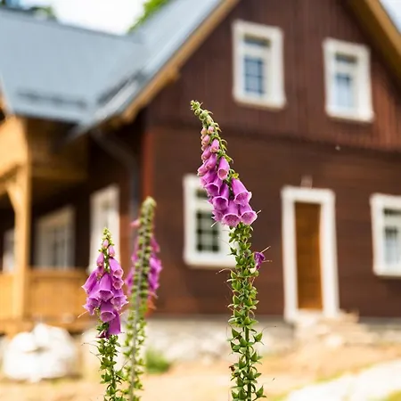 Chalet Milkowa Dolina